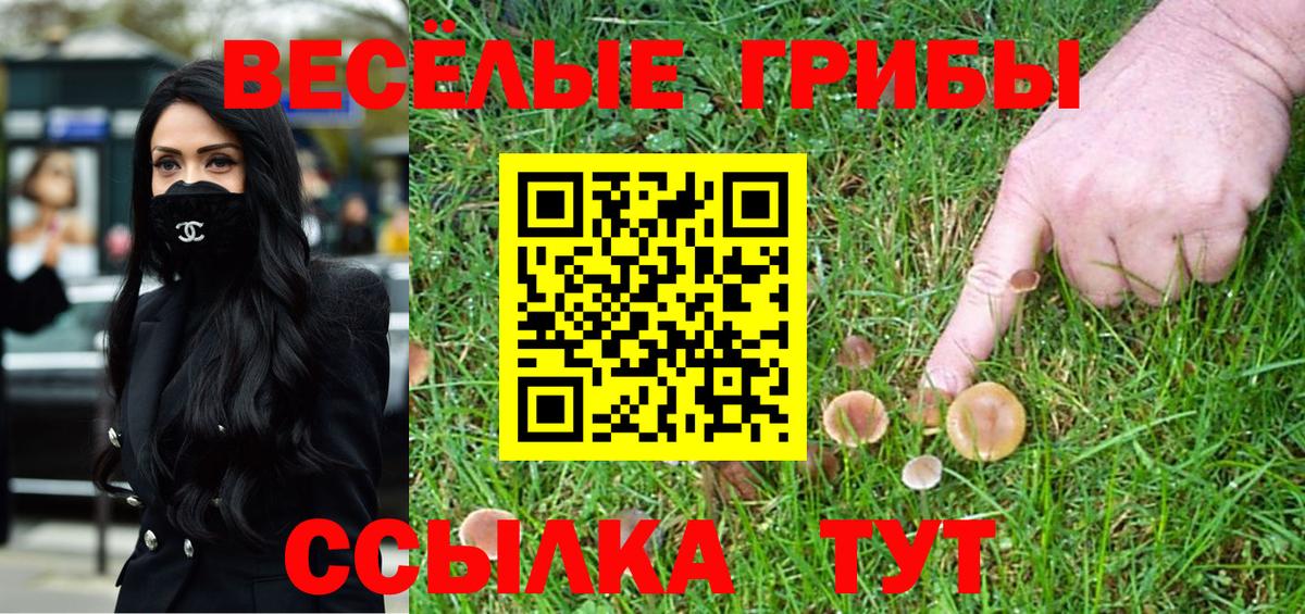 Галлюциногенные грибы ЛСД Киров