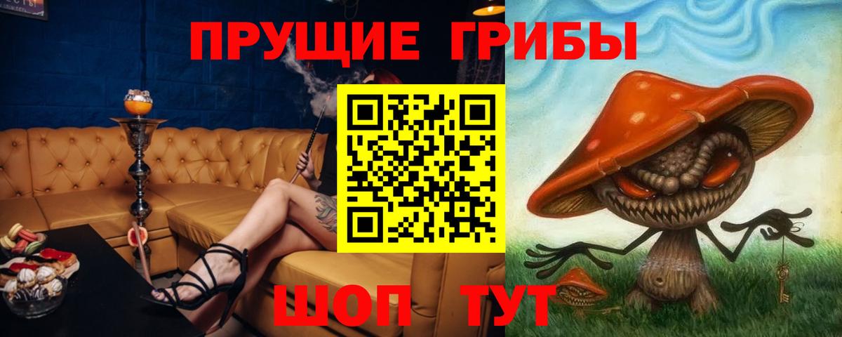 Киров  Галлюциногенные грибы мицелий  Вход с VPN  Псилоцибиновые грибы мицелий 